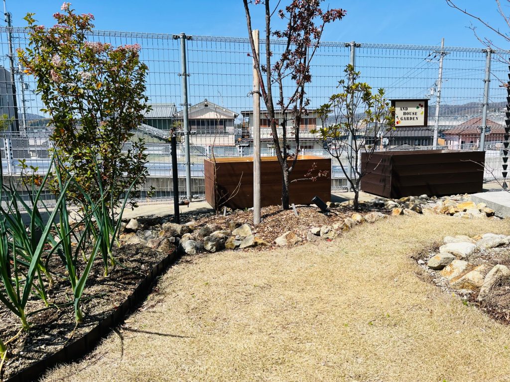 収穫～家庭菜園のススメ～