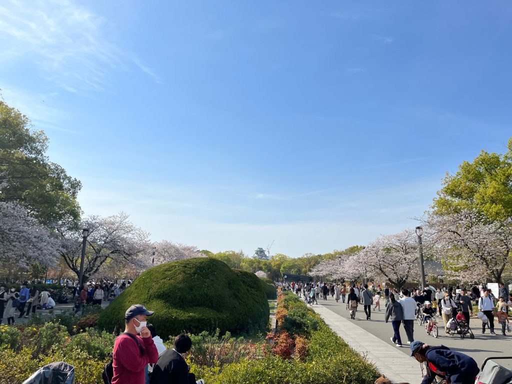 桜前線は北海道へ～