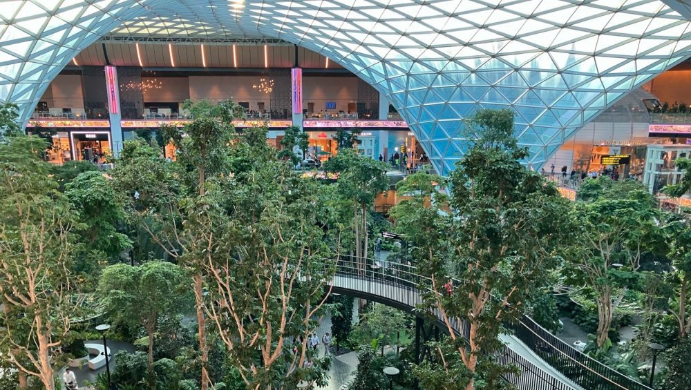 世界が手を取り合える未来へ